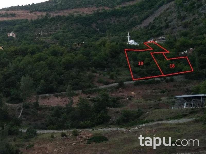 Artvin Merkez Salkımlı Köyünde 2375 M2 Bahçe