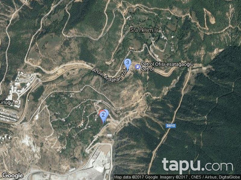 Artvin Merkez Salkımlı Köyünde 2375 M2 Bahçe