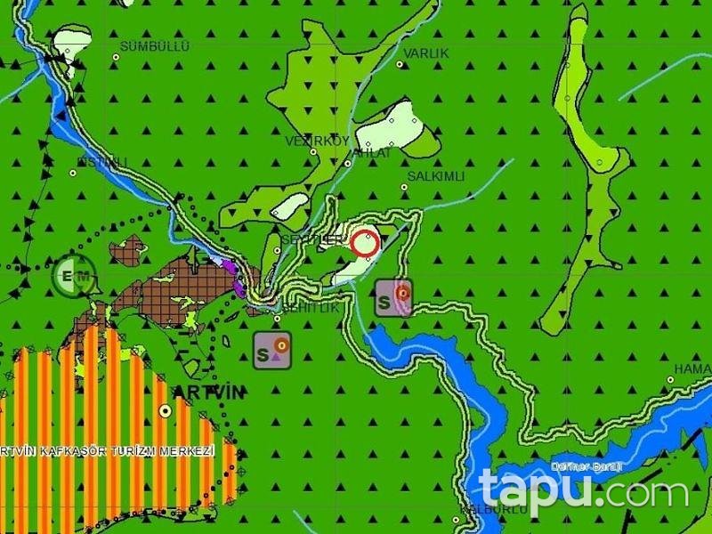 Artvin Merkez Salkımlı Köyünde 1156 M2 Bahçe