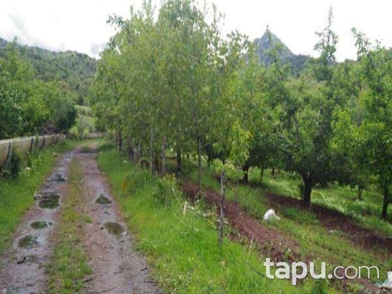 Isparta Aksu Sofular Köyünde 3062 M2 Tarla