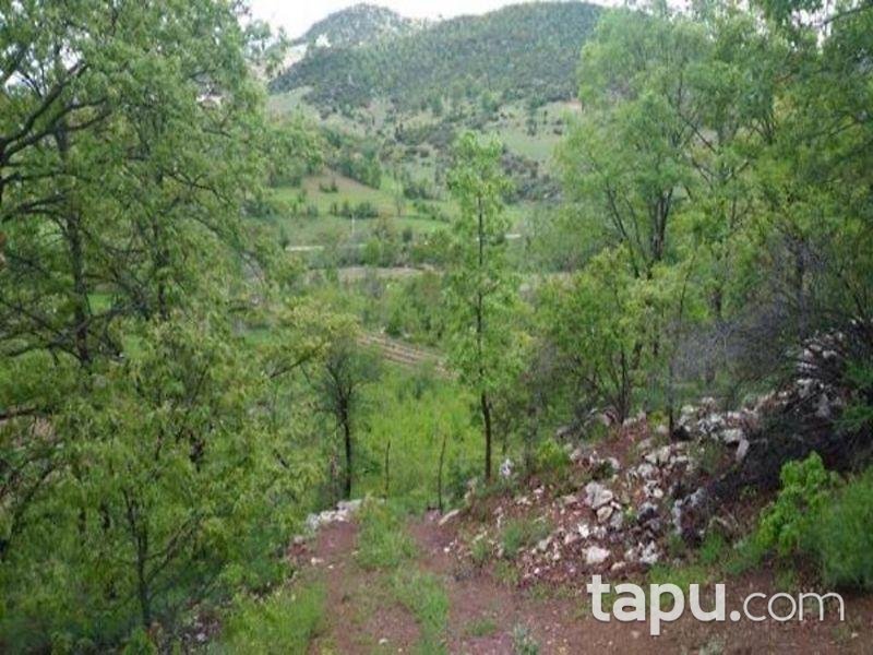 Isparta Aksu Sofular Köyünde 3062 M2 Tarla