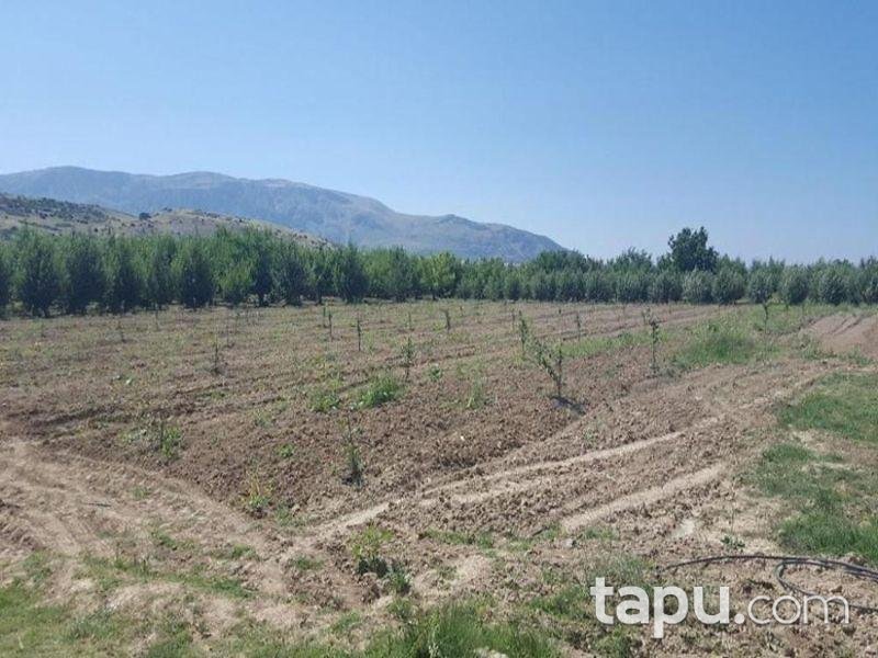 Isparta Gelendost Afşar Köyü'nde Tarla