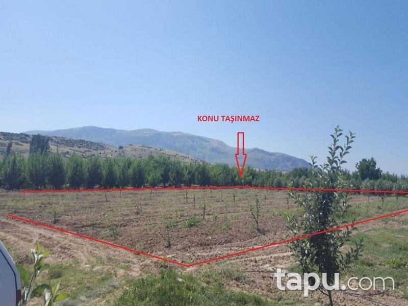 Isparta Gelendost Afşar Köyü'nde Tarla