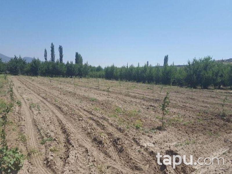 Isparta Gelendost Afşar Köyü'nde Tarla