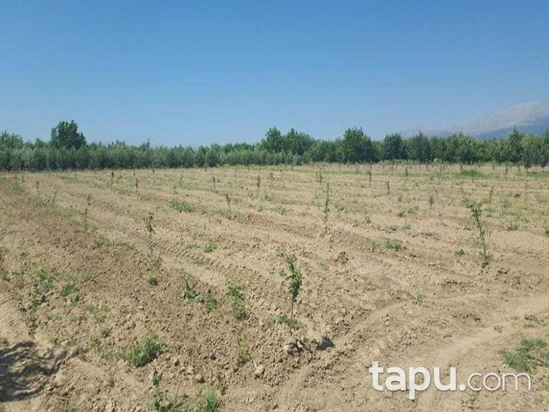 Isparta Gelendost Afşar Köyü'nde Tarla