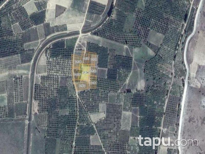 Isparta Gelendost Afşar Köyü'nde Tarla