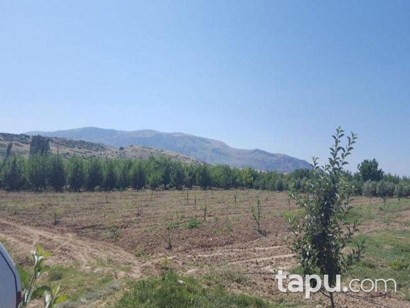 Isparta Gelendost Afşar Köyü'nde Tarla