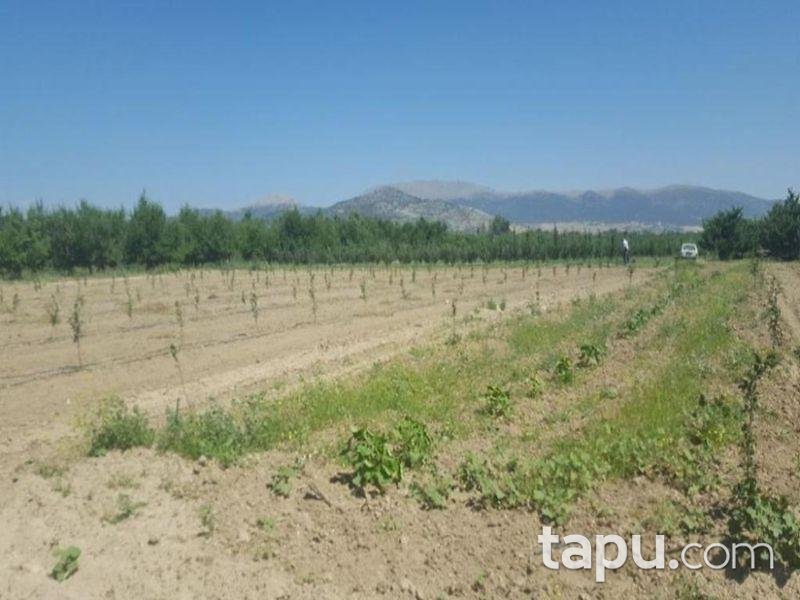 Isparta Gelendost Afşar Köyü'nde Tarla