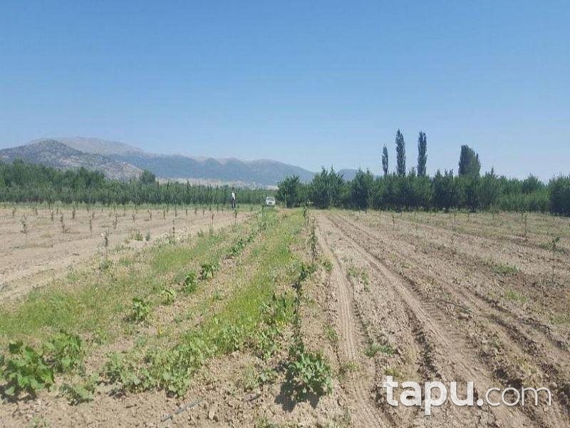 Isparta Gelendost Afşar Köyü'nde Tarla