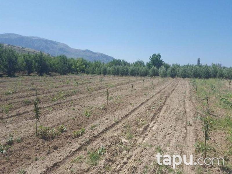 Isparta Gelendost Afşar Köyü'nde Tarla