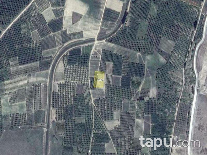 Isparta Gelendost Afşar Köyü'nde Tarla