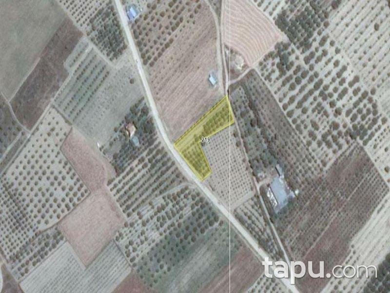 Isparta Yalvaç Aşağı Tırtar Köyünde 2350 m2 Arsa