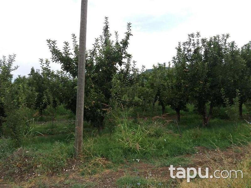 Isparta Yalvaç Aşağı Tırtar Köyünde 2350 m2 Arsa