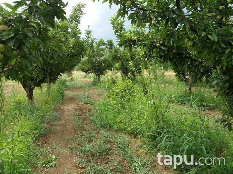 Isparta Yalvaç Aşağı Tırtar Köyünde 2350 m2 Arsa