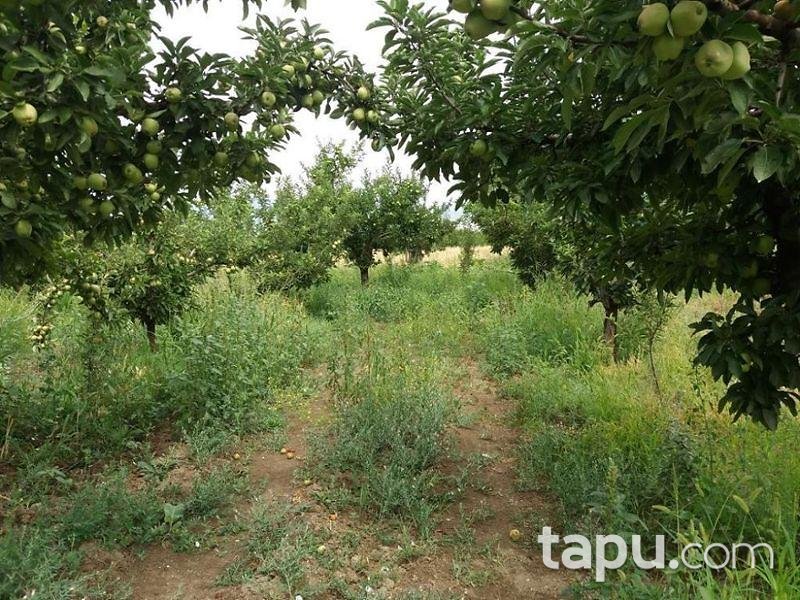 Isparta Yalvaç Aşağı Tırtar Köyünde 2350 m2 Arsa