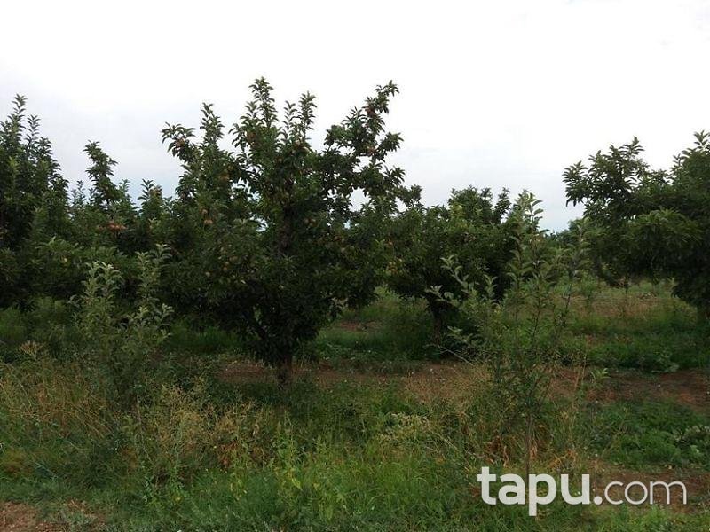 Isparta Yalvaç Aşağı Tırtar Köyünde 2350 m2 Arsa