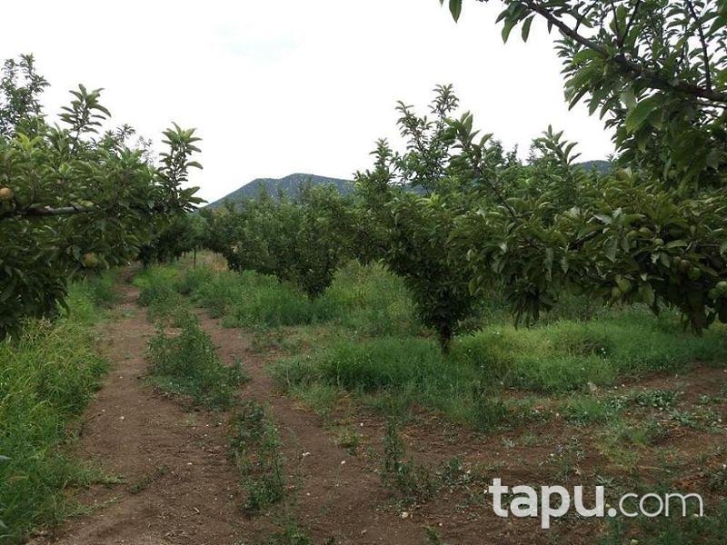 Isparta Yalvaç Aşağı Tırtar Köyünde 2350 m2 Arsa