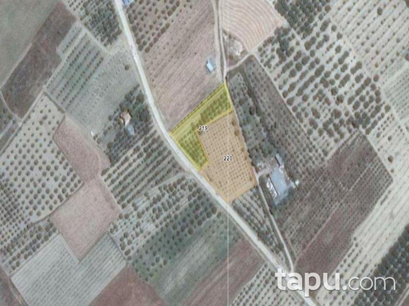 Isparta Yalvaç Aşağı Tırtar Köyünde 2350 m2 Arsa