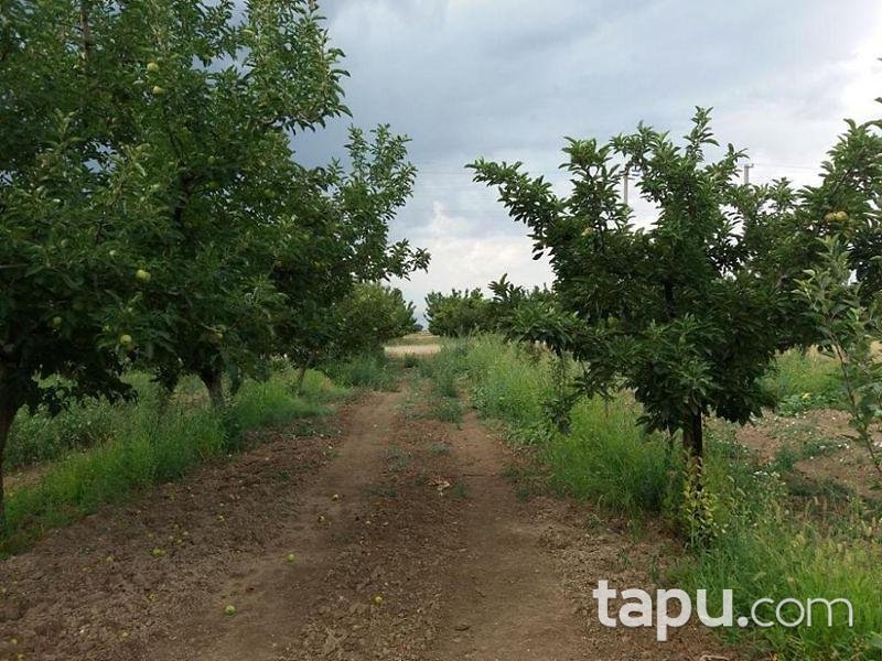 Isparta Yalvaç Aşağı Tırtar Köyünde 2350 m2 Arsa