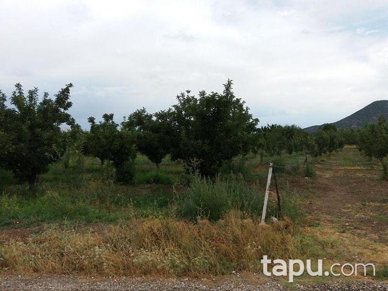 Isparta Yalvaç Aşağı Tırtar Köyünde 2350 m2 Arsa