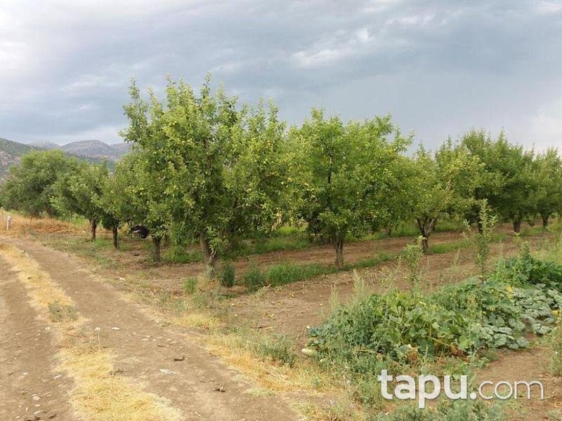 Isparta Yalvaç Aşağı Tırtar Köyünde 2350 m2 Arsa