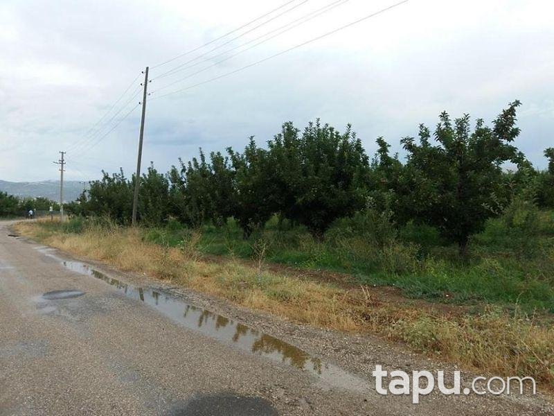 Isparta Yalvaç Aşağı Tırtar Köyünde 2350 m2 Arsa