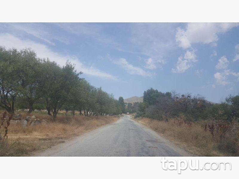 Eskişehir Sivrihisar İstiklalbağı Köyü'nde 260 m2 Müstakil Ev