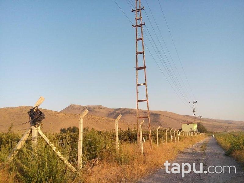 Kayseri Develi Zile Mahallesinde 6720 m2 Tarla