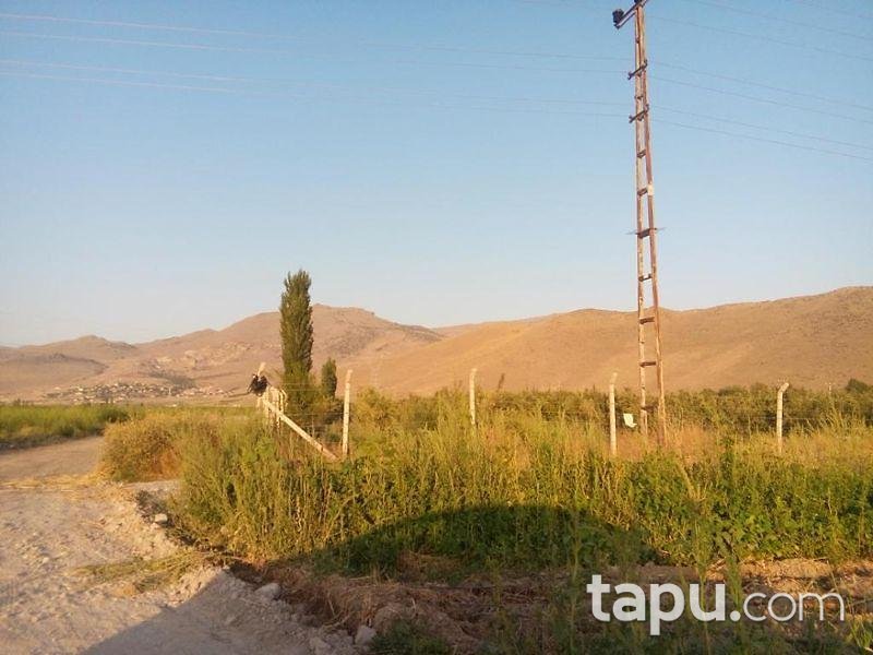 Kayseri Develi Zile Mahallesinde 6720 m2 Tarla
