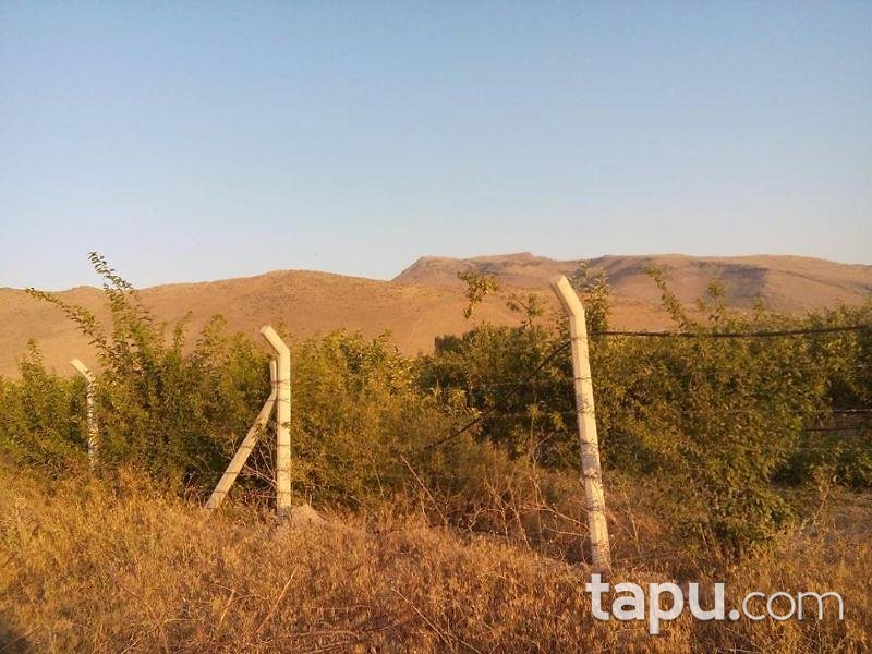 Kayseri Develi Zile Mahallesinde 6720 m2 Tarla