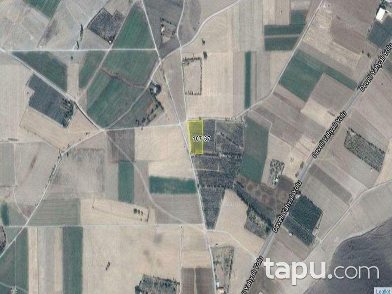 Kayseri Develi Zile Mahallesinde 6720 m2 Tarla