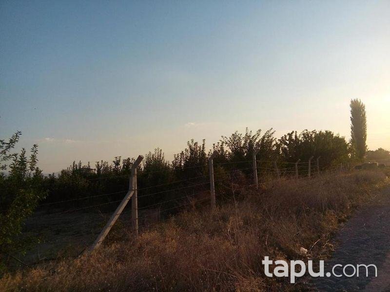 Kayseri Develi Zile Mahallesinde 6720 m2 Tarla