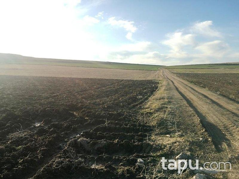 Afyonkarahisar Çobanlar Göynük Köyünde 9.100 m2 Arsa