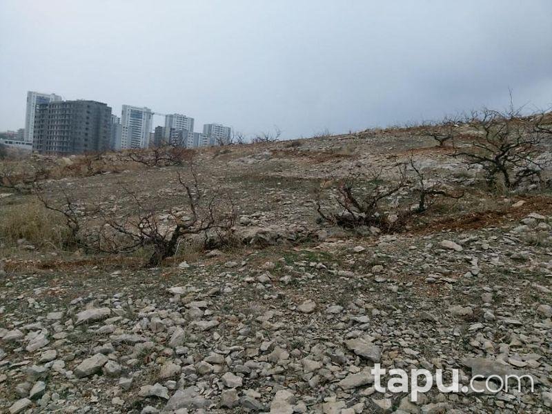 Mardin Artuklu' da 1183 m2 Arsa
