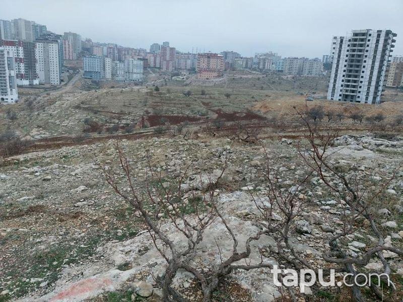 Mardin Artuklu' da 1183 m2 Arsa