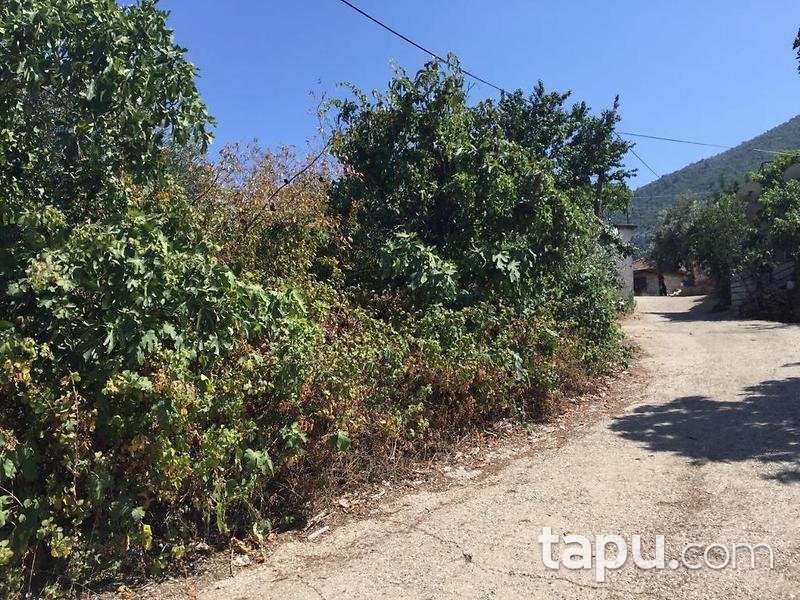 Antalya Finike Yeşilyurt Mahallesinde Bina