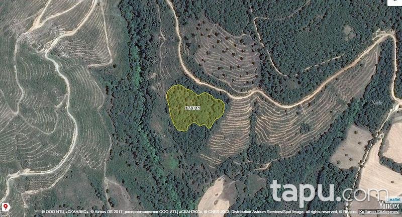Balıkesir Gönen Karasukabaklar Köyü'nde Toplam 199 Dönüm 37 Tarla