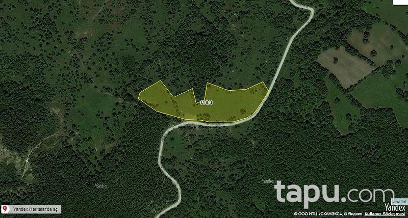 Balıkesir Gönen Alacaoluk Köyünde Toplam 52000 m2 3 Tarla