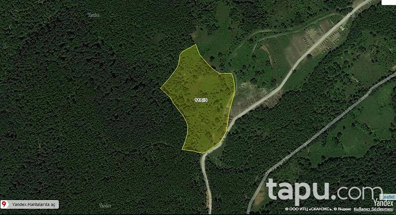 Balıkesir Gönen Alacaoluk Köyünde Toplam 52000 m2 3 Tarla