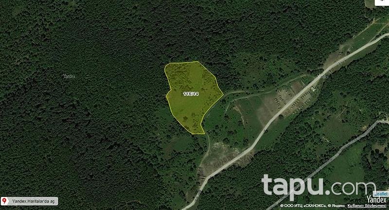 Balıkesir Gönen Alacaoluk Köyünde Toplam 52000 m2 3 Tarla