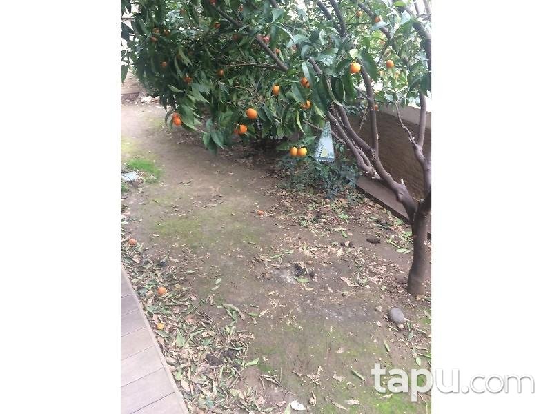 Koşuyolu'nda 5+1 Bahçeli Villa