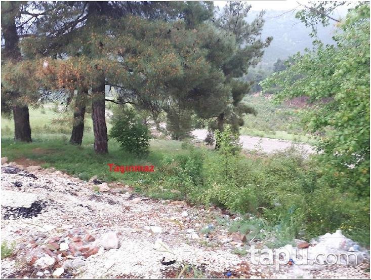 Burdur Ağlasun Çamlıdere Köyünde 1160 m2 Tarla