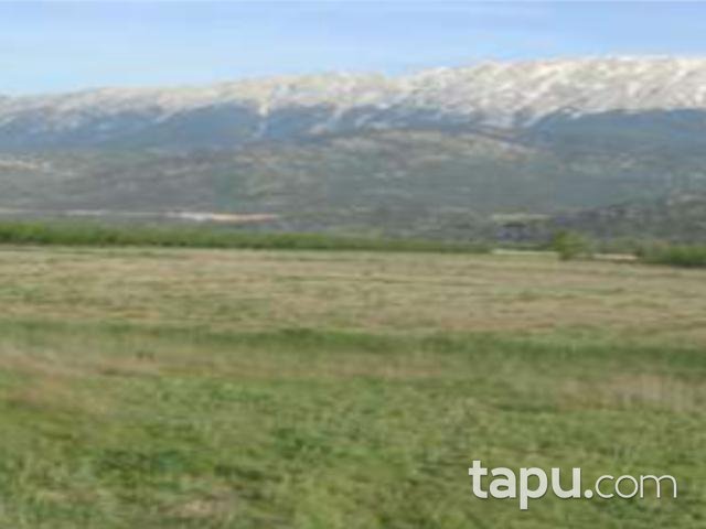 Isparta Senirkent'te 5 Adet 18.317 m2 Tarla