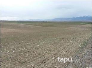 Afyonkarahisar Sandıklı Kusura Köyünde 31.500 m2 Tarla