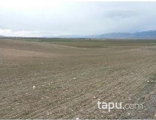 Afyonkarahisar Sandıklı Kusura Köyünde 20350 m2 Tarla