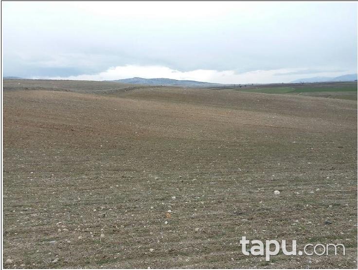 Afyonkarahisar Sandıklı Kusura Köyünde 20350 m2 Tarla