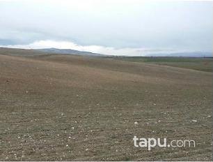 Afyonkarahisar Sandıklı Kusura Köyünde 20350 m2 Tarla