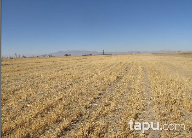Niğde Merkez Edikli Köyüne 10.000 m2 Tarla