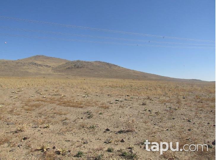 Niğde Merkez Edikli Köyüne 10.000 m2 Tarla