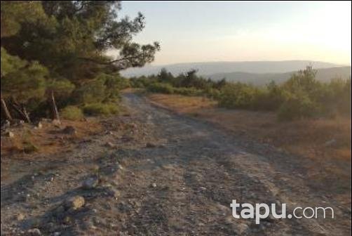 Sakarya Geyve Sekiharman Mahallesinde 21211 m2 Tarla